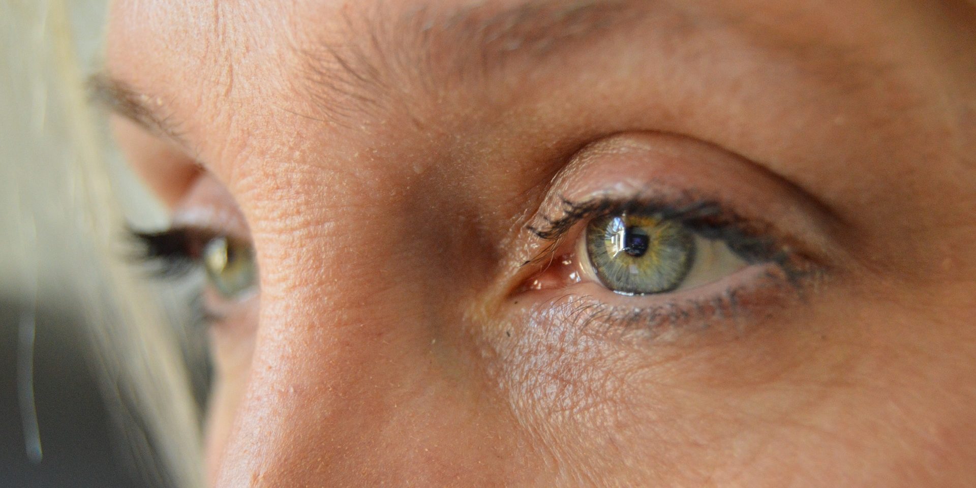 grey-eyes-2946810_1920