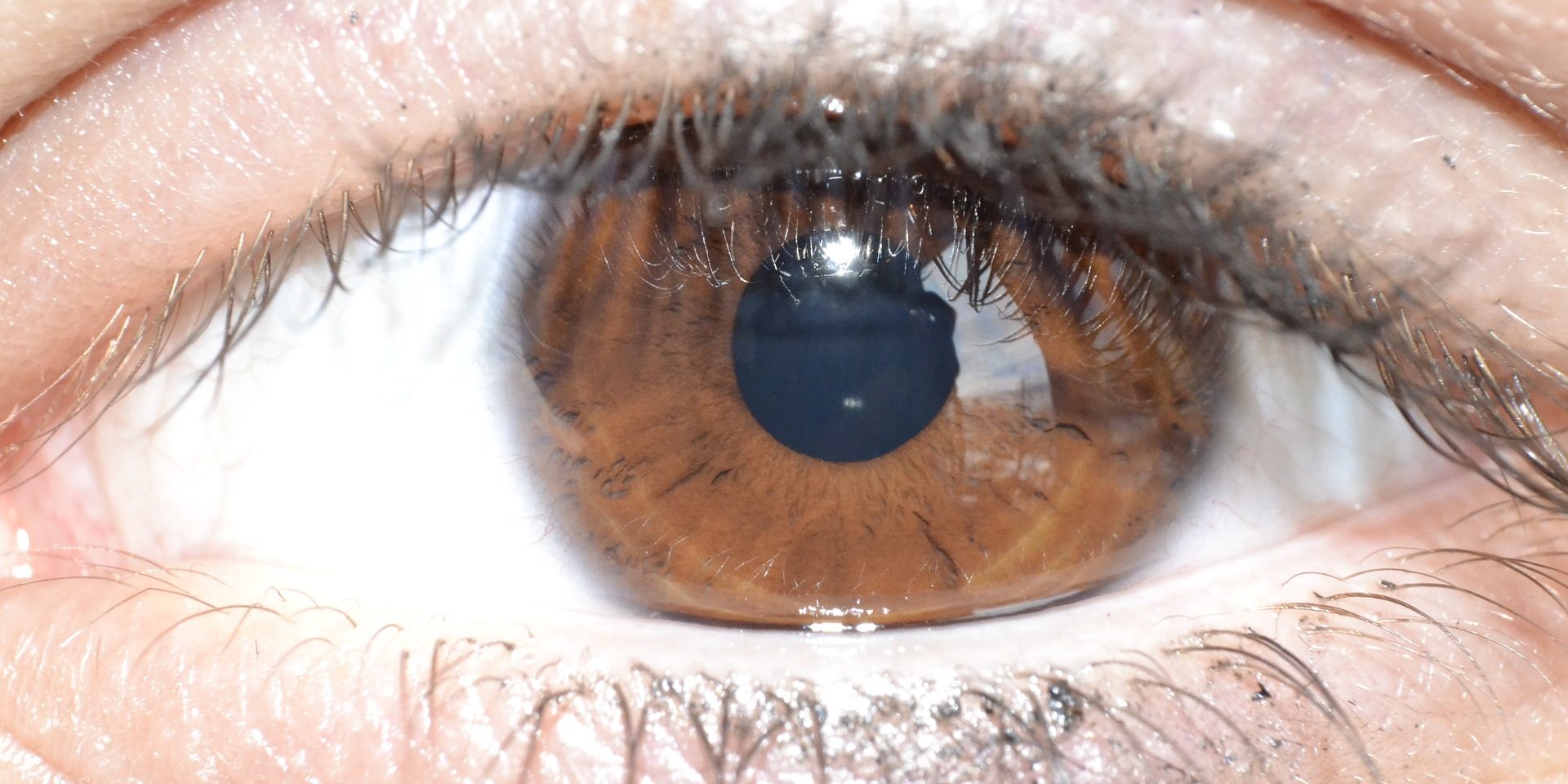 eye-1625891_1920
