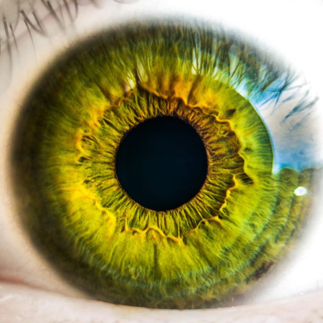 eye-931978_1920